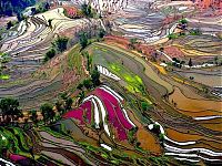 World & Travel: paddy fields, rice terraces