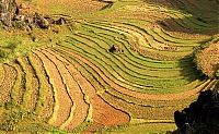 Trek.Today search results: paddy fields, rice terraces