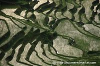 Trek.Today search results: paddy fields, rice terraces