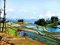 World & Travel: paddy fields, rice terraces