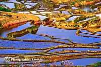 World & Travel: paddy fields, rice terraces