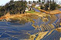 Trek.Today search results: paddy fields, rice terraces