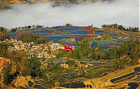 World & Travel: paddy fields, rice terraces