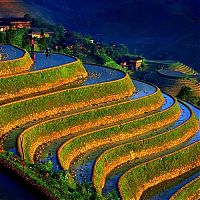 Trek.Today search results: paddy fields, rice terraces