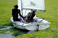 Trek.Today search results: Seaweeds invade the shores of China