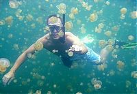 World & Travel: Jellyfish Lake, Eil Malk island, Palau, Pacific Ocean