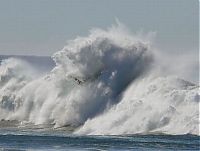 Trek.Today search results: Coast Guard on the giant waves