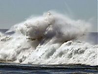 Trek.Today search results: Coast Guard on the giant waves