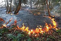 Trek.Today search results: Kilauea volcano. Hawaiian Islands, United States