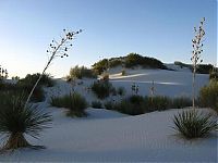 World & Travel: White Sands National Monument, New Mexico, United States