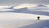 World & Travel: White Sands National Monument, New Mexico, United States