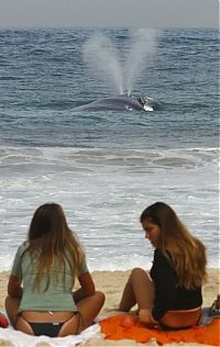 Trek.Today search results: Life in Rio de Janeiro, Brazil