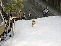 World & Travel: Foam City, Miami, United States