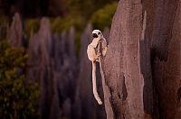 World & Travel: Tsingy de Bemaraha, Melaky Region, Madagascar