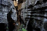 Trek.Today search results: Tsingy de Bemaraha, Melaky Region, Madagascar