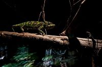 World & Travel: Tsingy de Bemaraha, Melaky Region, Madagascar