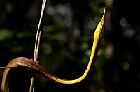 Trek.Today search results: Tsingy de Bemaraha, Melaky Region, Madagascar