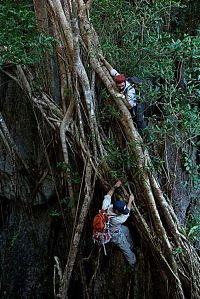 Trek.Today search results: Tsingy de Bemaraha, Melaky Region, Madagascar