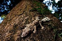 Trek.Today search results: Tsingy de Bemaraha, Melaky Region, Madagascar