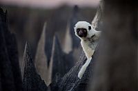 Trek.Today search results: Tsingy de Bemaraha, Melaky Region, Madagascar