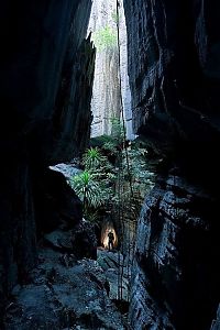 Tsingy de Bemaraha, Melaky Region, Madagascar