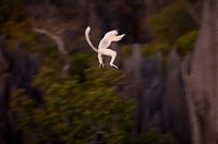 World & Travel: Tsingy de Bemaraha, Melaky Region, Madagascar