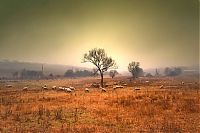 Trek.Today search results: Landscape photography by Adam Dobrovits