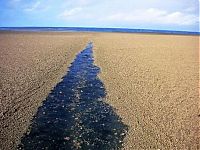 World & Travel: Eruption of underwater volcano, Nuku'alofa, Tonga