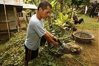 Trek.Today search results: Gun making industry, Danao, Philippines