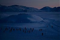 Trek.Today search results: Life in Greenland