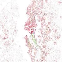 Trek.Today search results: Race and ethnicity of US cities by Eric Fischer