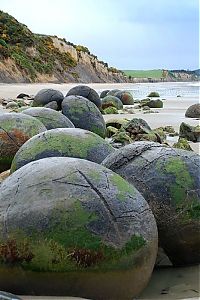 Trek.Today search results: Moeraki Boulders, Koekohe Beach, Otago coast, New Zealand