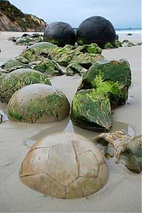 Trek.Today search results: Moeraki Boulders, Koekohe Beach, Otago coast, New Zealand