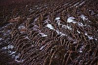 Trek.Today search results: Red sludge alumina factory reservoir pollutes villages, Hungary