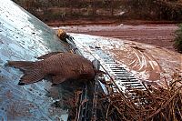 World & Travel: Red sludge alumina factory reservoir pollutes villages, Hungary