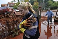 Trek.Today search results: Red sludge alumina factory reservoir pollutes villages, Hungary