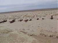 World & Travel: The Aral Sea is almost gone