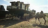 Trek.Today search results: The Aral Sea is almost gone