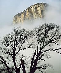 Trek.Today search results: American landscape by William Neill