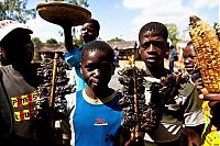 World & Travel: Rat catchers, Madamba, Mozambique