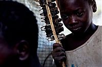 Rat catchers, Madamba, Mozambique