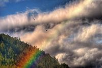 Trek.Today search results: spectrum of rainbow light