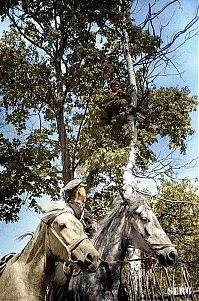 World & Travel: History: World War color photography