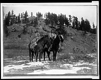 Trek.Today search results: History: The North American Indian by Edward S. Curtis