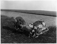 Trek.Today search results: History: The North American Indian by Edward S. Curtis