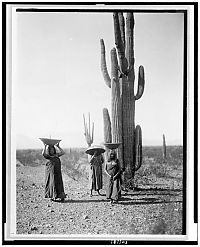 Trek.Today search results: History: The North American Indian by Edward S. Curtis