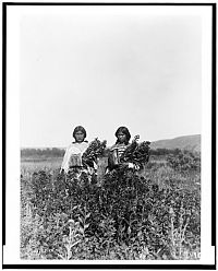 Trek.Today search results: History: The North American Indian by Edward S. Curtis