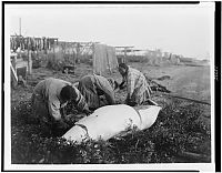 Trek.Today search results: History: The North American Indian by Edward S. Curtis