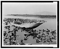 Trek.Today search results: History: The North American Indian by Edward S. Curtis