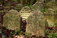 World & Travel: Pet cemetery, Hyde Park, London